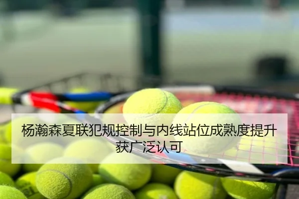 杨瀚森夏联犯规控制与内线站位成熟度提升获广泛认可